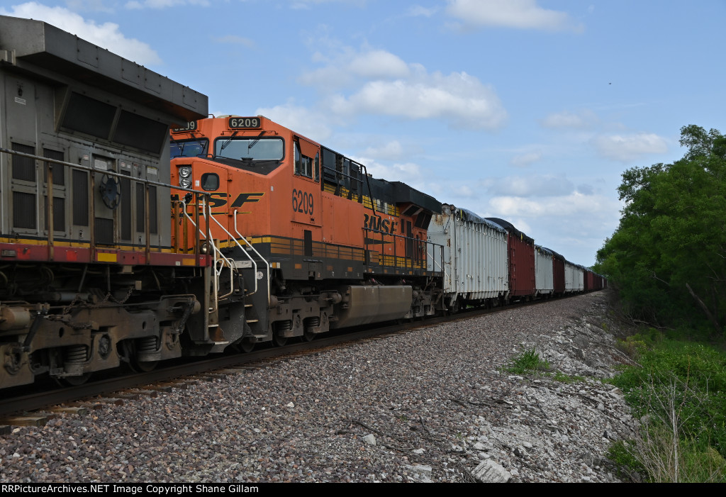 BNSF 6209 Roster shot